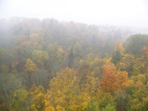 Lettischer Nebel (100_0422.JPG) wird geladen. Eindrucksvolle Fotos aus Lettland erwarten Sie.